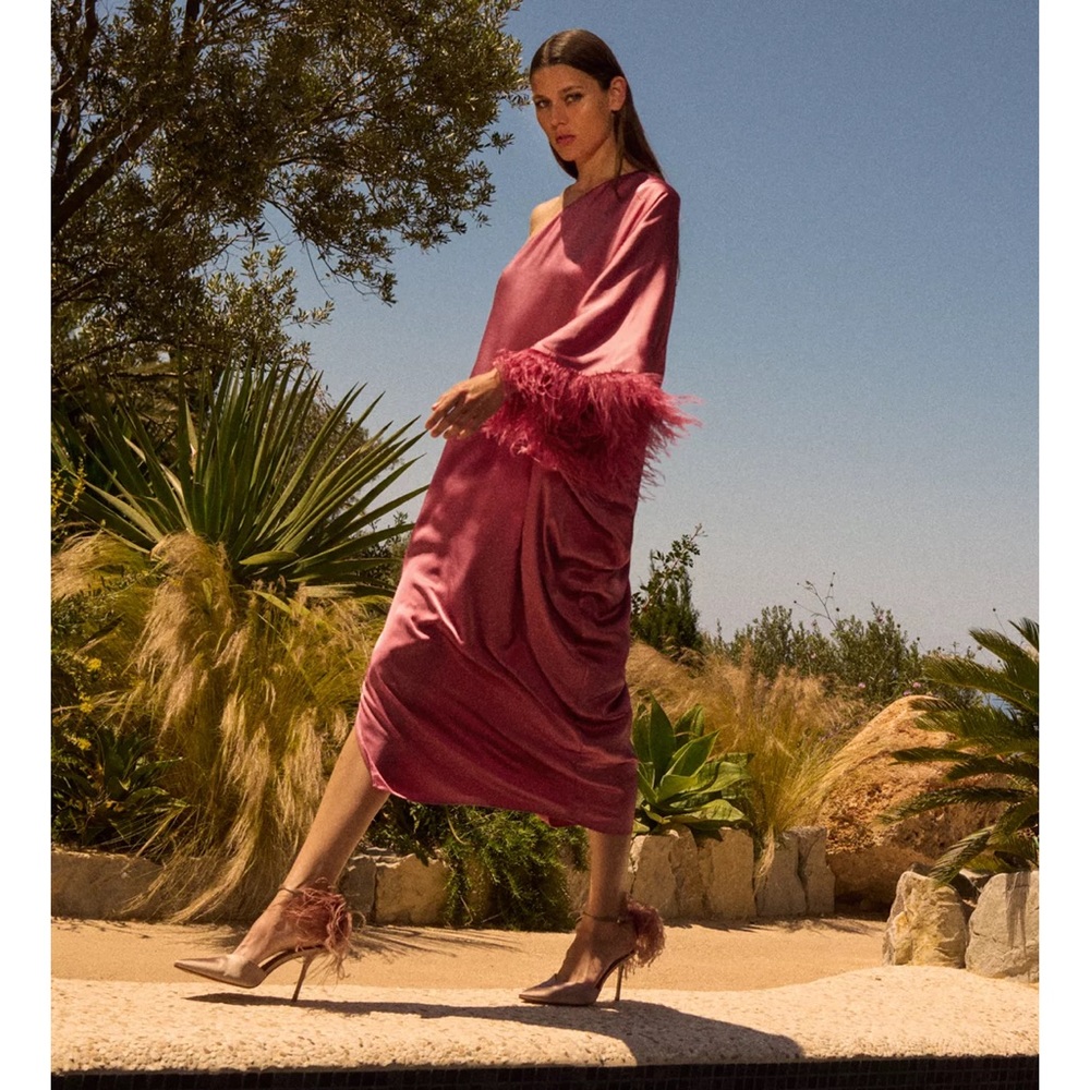 Zara Pink Midi Dress with Feather Details